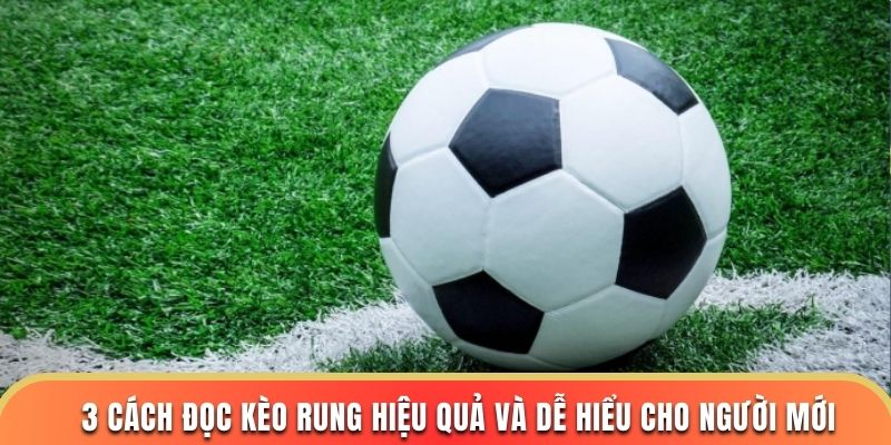3 cách đọc kèo rung hiệu quả và dễ hiểu cho người mới